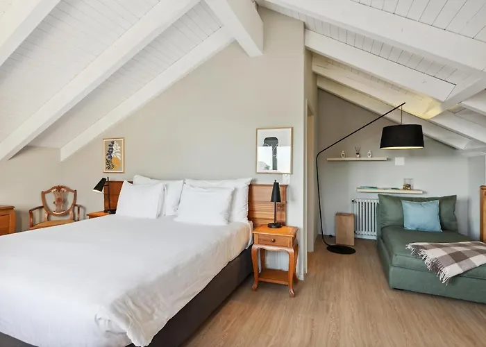 Stylish Duplex * Морж