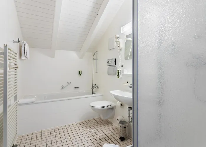 Stylish Duplex * Морж